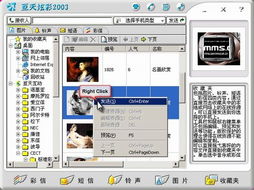 數(shù)字時(shí)代的技術(shù)革新 天極網(wǎng)與亙天炫彩2003引領(lǐng)創(chuàng)意軟件開發(fā)新浪潮